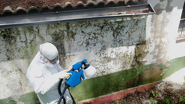 Trusted Bathroom Mold Removal service in Nolensville, TN - Cheap Mold Removal